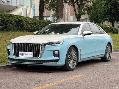 2020 Hongqi H9 2.0T Smart Connection Qi Chang Edition, фото 1, лот 10287116