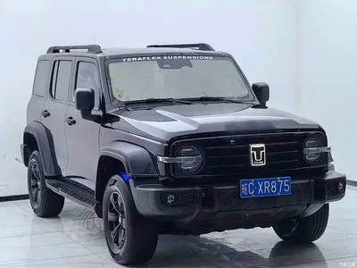 2021 Tank 300 Off-road Version 2.0T Conqueror, фото 3, лот 11196754