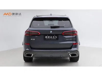 2019 BMW X5 (Import) xDrive40i M Sport Package, фото 4, лот 10304713