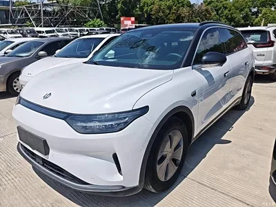 2021 Leapmotor C11 Luxury Edition, фото 1, лот 10441933