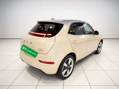 2021 Ora Good Cat 400km Standard Range Venus Edition (LFP), фото 4, лот 10270875