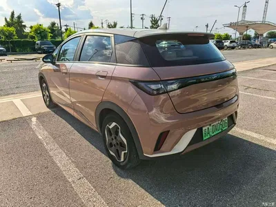 2021 BYD Dolphin Model 405km Fashion Edition, фото 4, лот 10248193