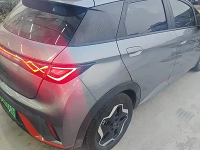 2021 BYD Dolphin Model 405km Fashion Edition, фото 3, лот 10764916