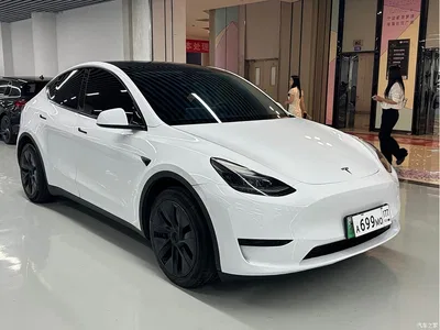 2023 Tesla Model Y Rear-Wheel Drive Edition, фото 3, лот 10442570