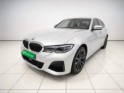 2020 BMW 3 Series 320Li M Sport Package, фото 1, лот 10620381