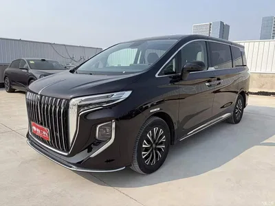 2024 Hongqi HQ9 Model 2.0T Business Edition, фото 1, лот 10769558