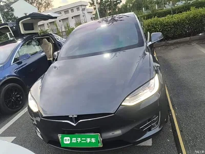 2019 Tesla Model X Long Range Version, фото 3, лот 10369277