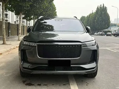2020 Li Auto Li ONE Extended Range 7-Seater, фото 1, лот 10888577