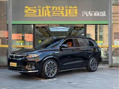 2024 AITO Wenjie AITO M7 1.5T Smart Drive RWD Ultra 5-seater, фото 1, лот 10277686