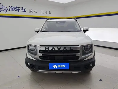 2024 Haval Big Dog 2.0T DCT Chinese Rural Dog Edition, фото 2, лот 10361798