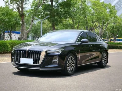 2023 Hongqi H5 2.0T Auto Smart Connect Flag Comfort, фото 1, лот 10694217