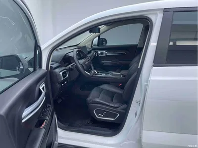 2023 Geely Radar Radar Horizon Model 410km Entrepreneur Edition, фото 4, лот 11204872