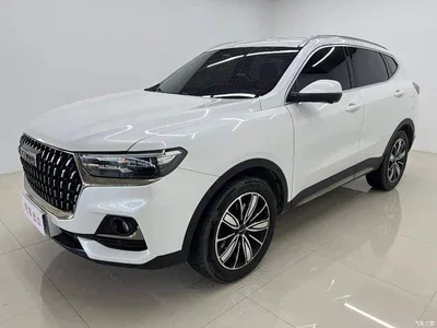 2023 Haval H6 National Trend Edition 1.5T Automatic Champion, фото 1, лот 10435457