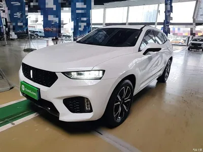 2017 WEY VV7 2.0T Super Luxury, фото 1, лот 10452233