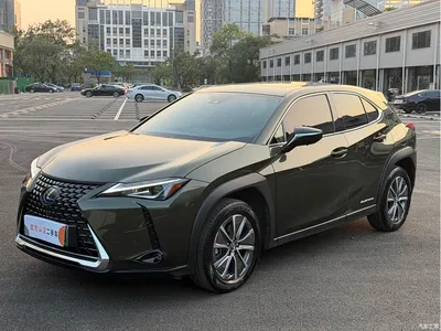 2020 Lexus UX Electric 300e Pure Yue Edition, фото 1, лот 10768139
