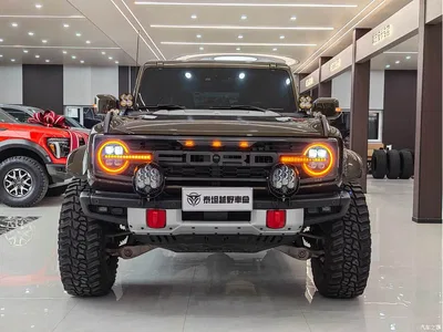 2024 Ford Bronco (Import) 3.0T Raptor Edition, фото 2, лот 10405545