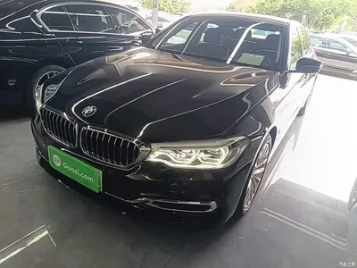 2019 BMW 5 Series New Energy Facelift 530Le Pioneer Edition, фото 1, лот 10474121