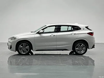2022 BMW X2 sDrive25i M Sport Package, фото 3, лот 10401755