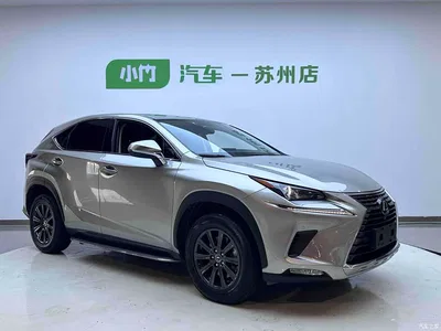 2020 Lexus NX 200 FWD Sharp Edition China VI, фото 3, лот 10317203