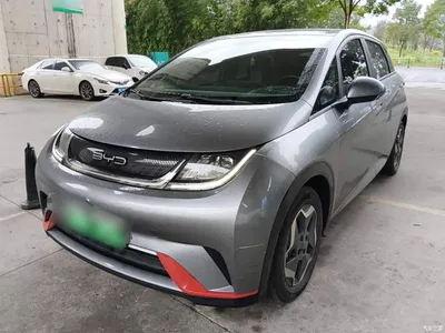 2021 BYD Dolphin Model 405km Fashion Edition, фото 1, лот 11250029