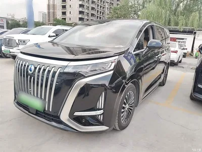 2022 Denza D9 EV 600 4WD Flagship, фото 1, лот 10346801