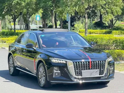 2025 Hongqi H5 1.5T DCT Flag Rhythm 500,000 Units Memorial Edition, фото 2, лот 10285537