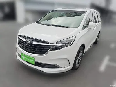 2022 Buick GL8 ES Landmark 653T Premium, фото 3, лот 10387373