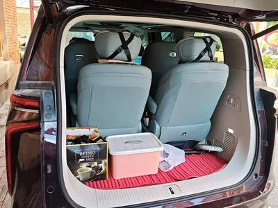 2022 SAIC Maxus Maxus G90 2.0T Interstellar Flagship Edition, фото 4, лот 11160968