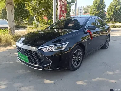 2021 BYD Qin PLUS DM-i 120KM Flagship, фото 2, лот 10440042