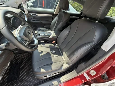 2020 Geely Borui 1.5T MHEV Premium Edition, фото 2, лот 10358049