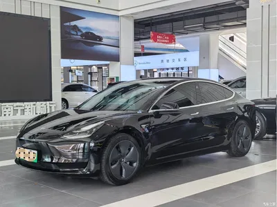 2020 Tesla Model 3 Standard Range Rear-Wheel Drive Upgrade, фото 1, лот 10358315
