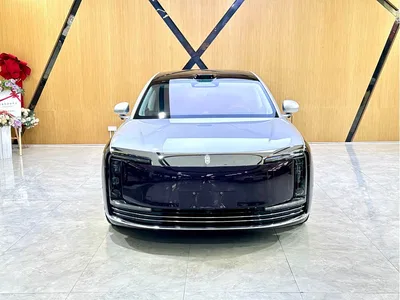 2025 Zunjie S800 Range Extender Starlight Executive 4-Seater, фото 2, лот 10396693