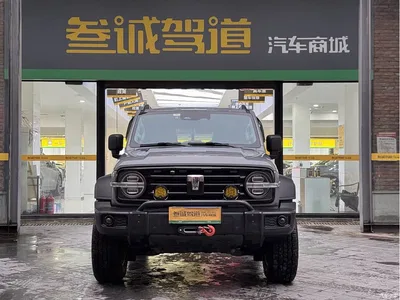 2021 Tank 300 Off-road Version 2.0T Conqueror, фото 2, лот 11475294