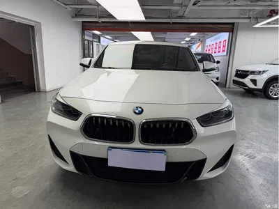 2020 BMW X2 sDrive25i Leading M Sport Package, фото 2, лот 11285950