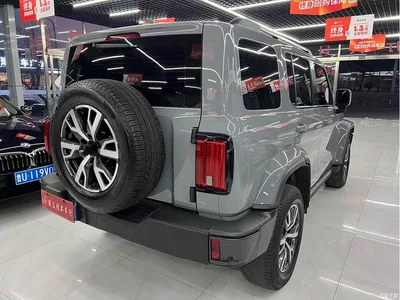 2021 Tank 300 Urban Edition 2.0T Stylish, фото 4, лот 10345118