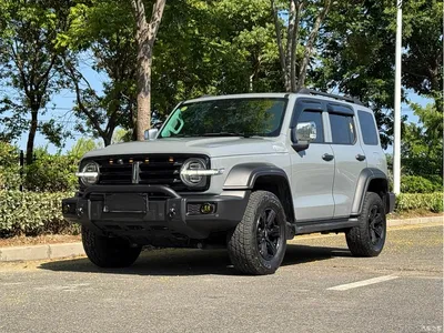 2021 Tank 300 Off-road Version 2.0T Conqueror, фото 1, лот 10476270