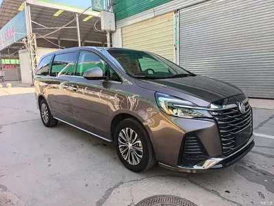 2023 Buick GL8 Land Business Class 652T Luxury, фото 3, лот 10250130