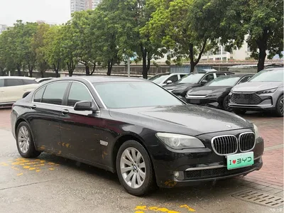 2009 BMW 7 Series 740Li Luxury, фото 3, лот 10459000