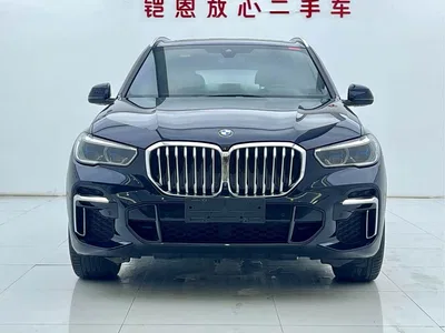 2022 BMW X5 Facelift xDrive 40Li M Sport Package, фото 2, лот 10679329