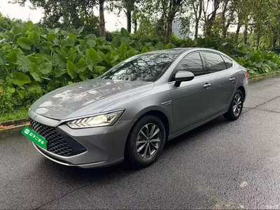 2023 BYD Qin PLUS Champion Edition DM-i 55KM Leading, фото 1, лот 10441018