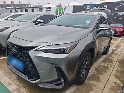 2022 Lexus NX 260 FWD Joy Creation Edition, фото 2, лот 10899065