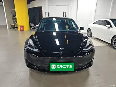 2022 Tesla Model 3 Model Rear-Wheel Drive Version, фото 3, лот 10662796