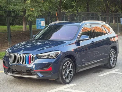 2022 BMW X1 sDrive25Li Leading, фото 1, лот 10465109