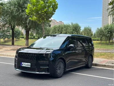 2024 ZEEKR 009 6-seat Executive AWD 108kWh, фото 1, лот 10428209