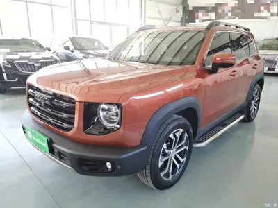 2021 Haval Big Dog 1.5T DCT 2WD Border Collie Edition, фото 1, лот 11565069