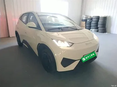 2025 BYD Seagull Smart Drive Edition 305km Vitality Version, фото 4, лот 10262952
