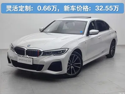2021 BMW 3 Series 320Li M Sport Package, фото 1, лот 10575229
