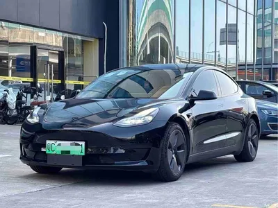 2022 Tesla Model 3 Model Rear-Wheel Drive Version, фото 1, лот 10899660