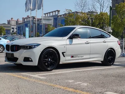 2019 BMW 3 Series GT 320i M Sport Black Night Edition, фото 1, лот 10473430