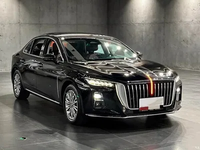 2023 Hongqi H5 2.0T Auto Smart Connect Flag Comfort, фото 3, лот 10769018
